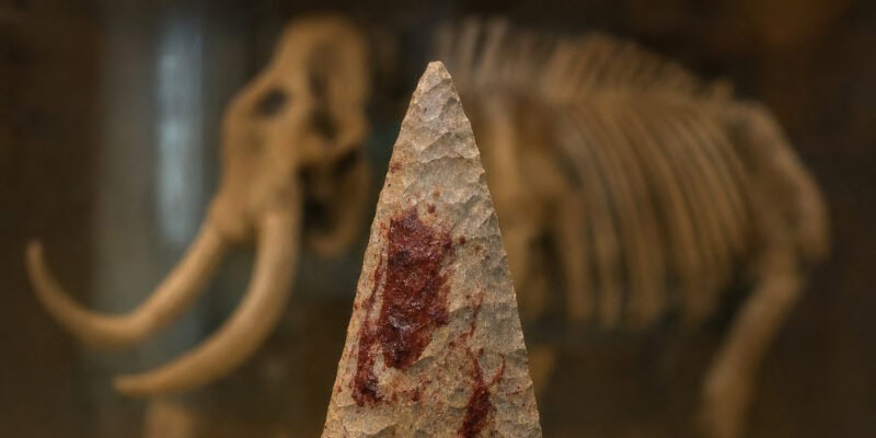 Ancient Maryland Spearhead Yields Mammoth Blood, Upending Eastern Shore History