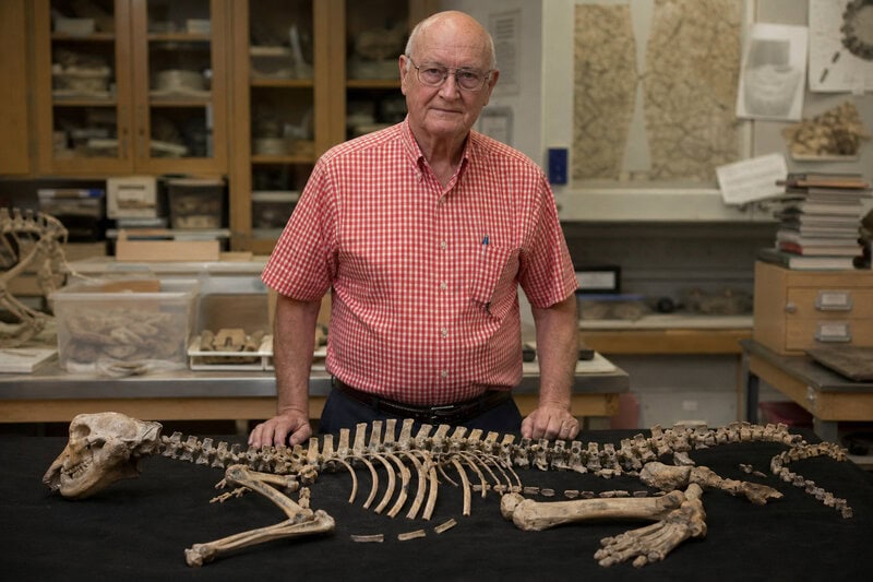 Gobi Desert Fossil Reshuffles the Mammal Family Tree After 40 Years