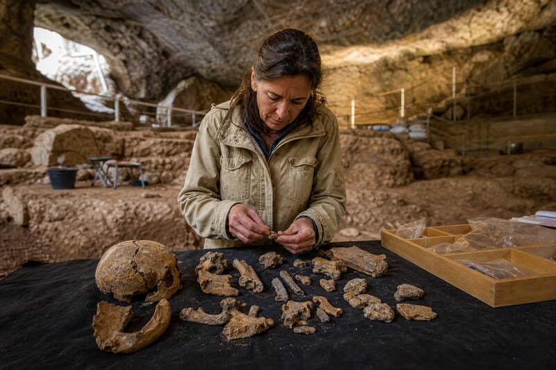 Homo antecessor Cannibalized Adults and Children in Spain 850,000 Years Ago