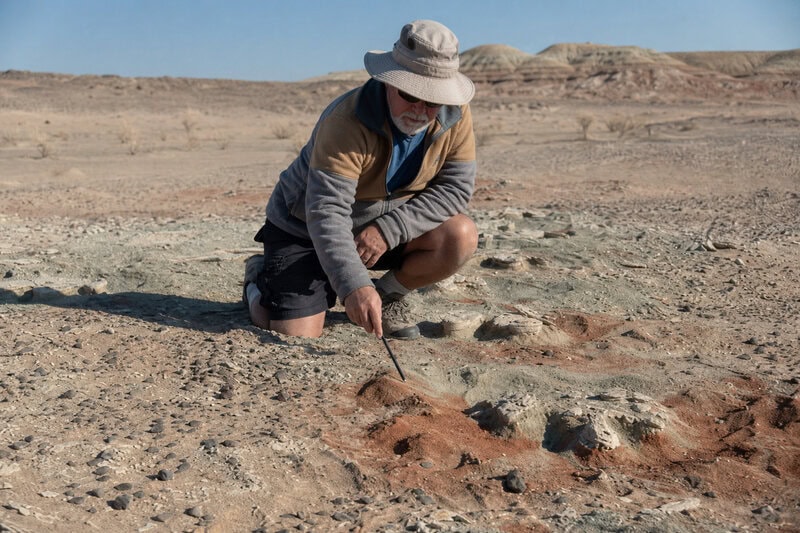 150-Million-Year-Old Sauropod Footprints Show a Limping Giant That Looped Back