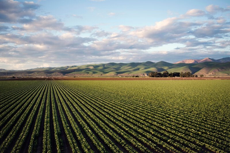 California Solar Permitting Gaps: Why Land Use Decides Years of Delay