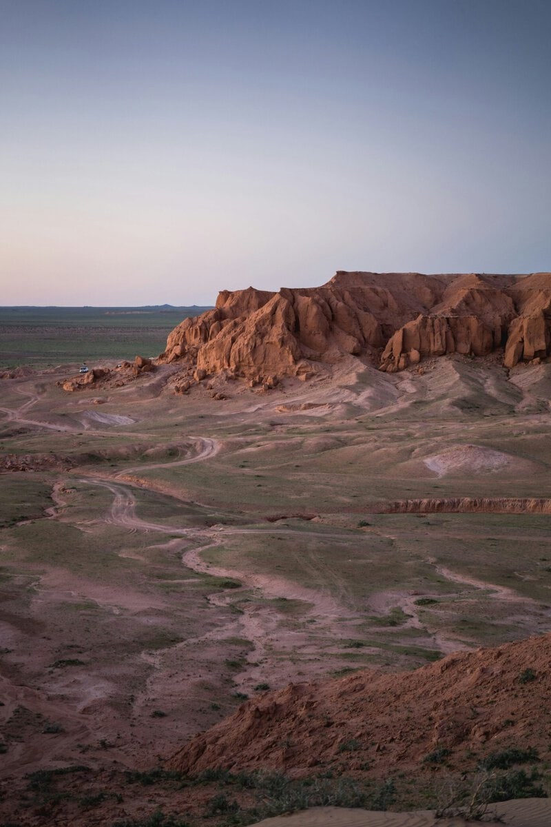Gobi Desert Fossil Reshuffles the Mammal Family Tree After 40 Years