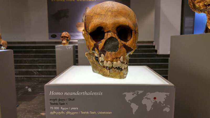 200,000-Year-Old Homo Skull Found in Spain Rewrites Iberian Prehistory