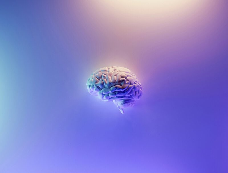 Your Brain’s Memory Hub Quietly Reorganizes Around Age 50, Science Finds