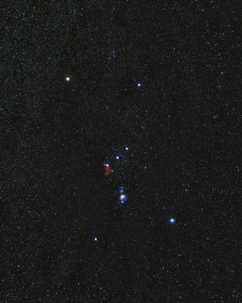 Bellatrix Won’t Die as a Supernova First — It Must Transform Into a Red Giant