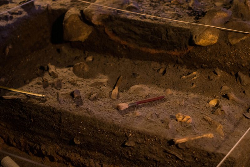 Ancient Smallpox Genomes Show European Colonizers Brought the Virus to Americas