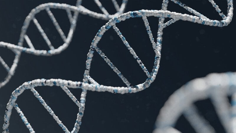 Ancient Bison DNA From 115 Genomes Exposes How Cattle Genes Invaded Modern Herds