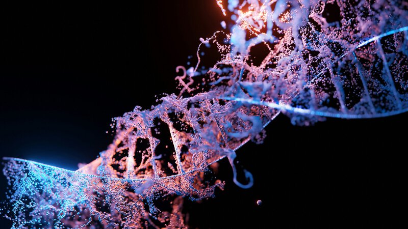 Your Brain’s Memory Hub Quietly Reorganizes Around Age 50, Science Finds