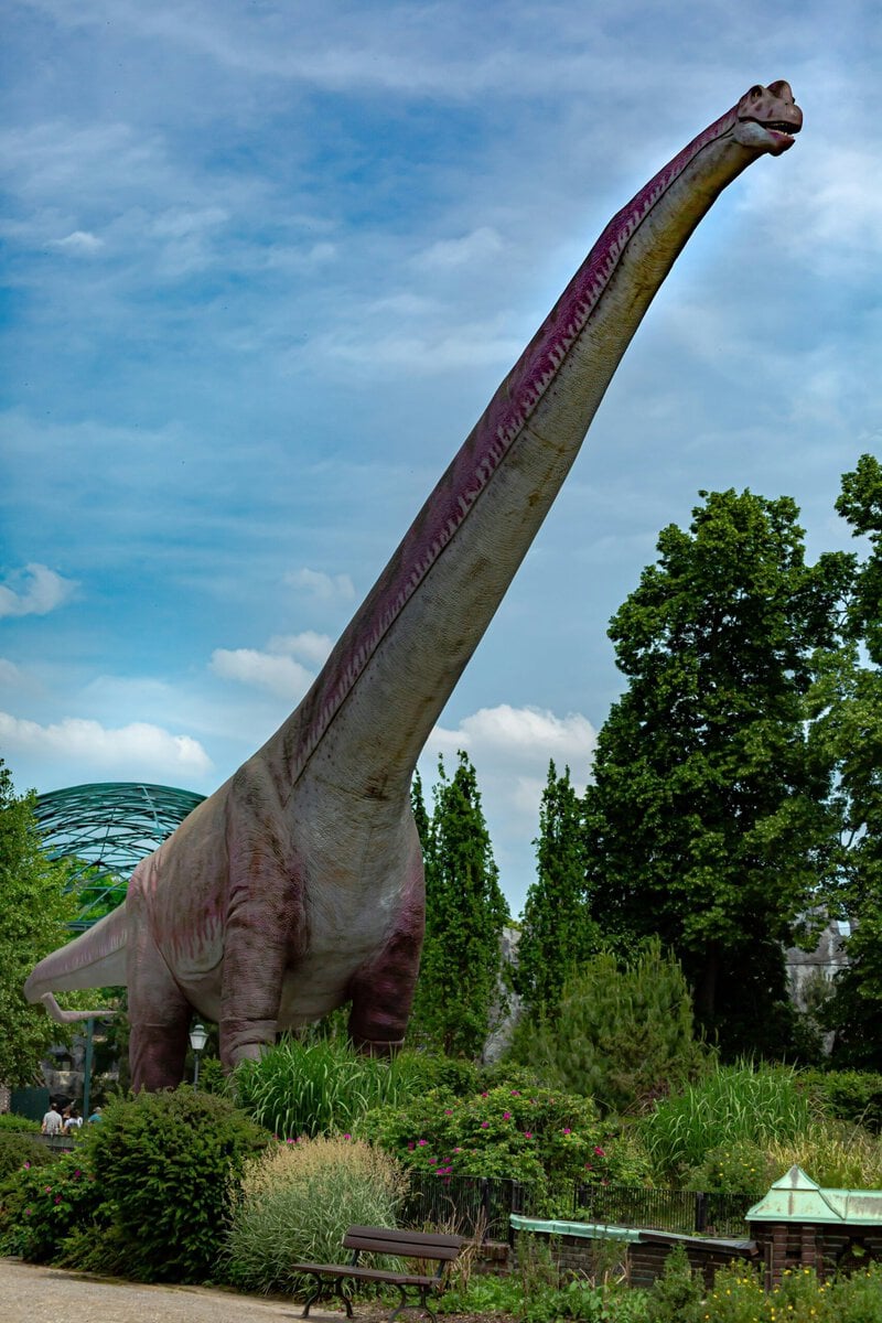 150-Million-Year-Old Sauropod Footprints Show a Limping Giant That Looped Back