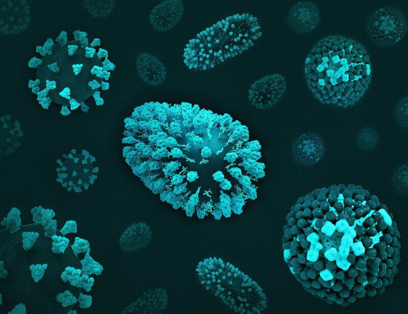 Ancient Smallpox Genomes Show European Colonizers Brought the Virus to Americas