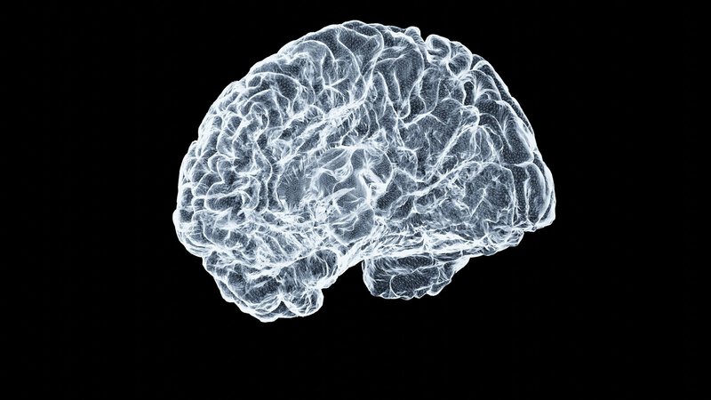 70% of Adults Have Sleep Problems — Science Says We Blamed the Wrong Cause