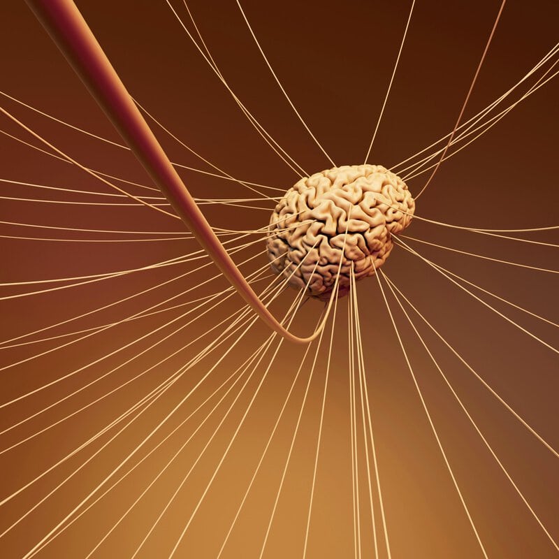 Your Brain’s Memory Hub Quietly Reorganizes Around Age 50, Science Finds