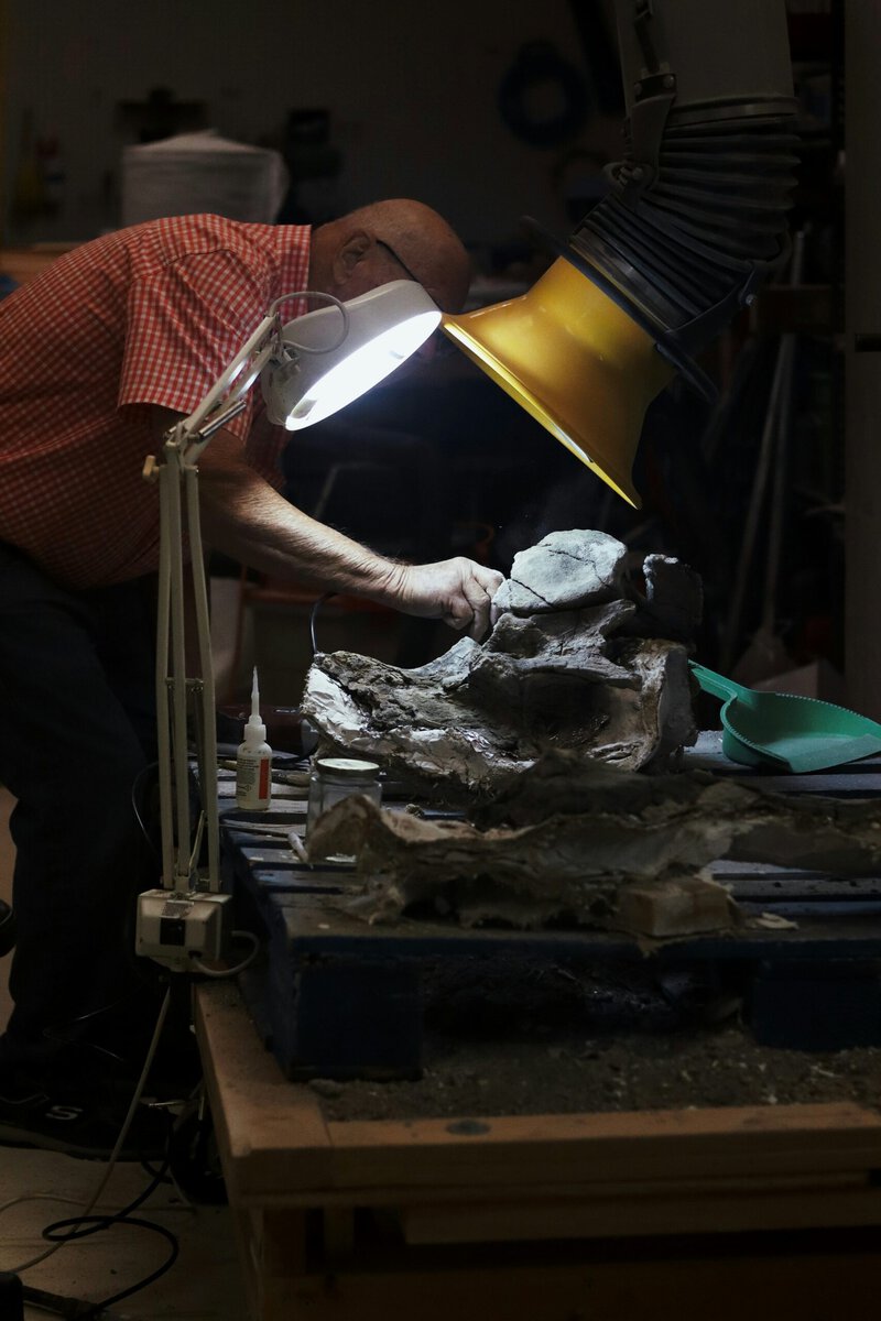 Pterosaur Inside an Ichthyosaur Inside a Pliosaur: One Fossil, Three Kills