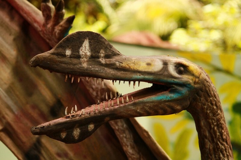 Ichthyosaur Fossil Caught Mid-Meal Eating a Pterosaur — Then Kronosaurus Struck