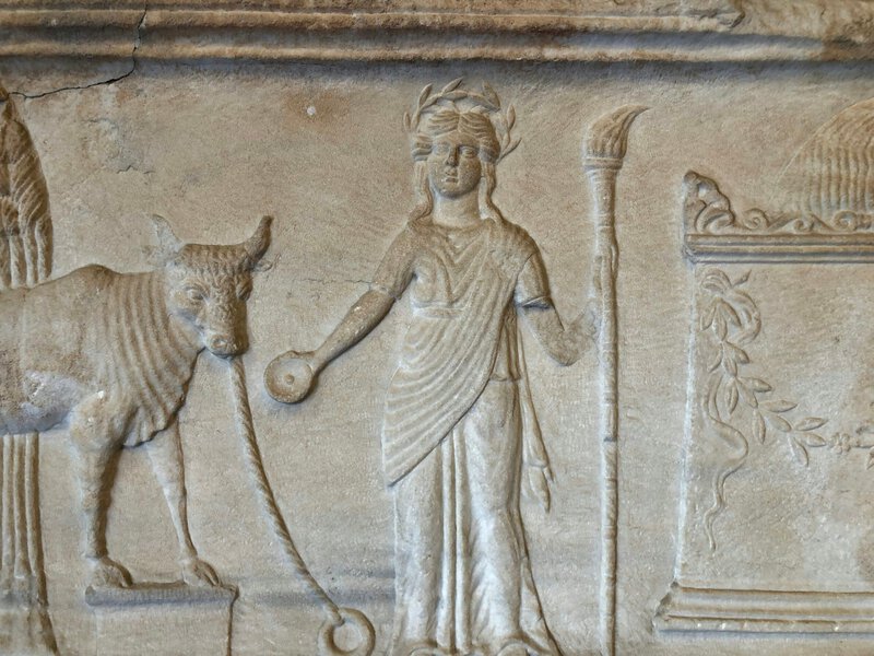 Ancient Greek Women Owned Land and Lifted Heavy: What Bones and Graves Reveal