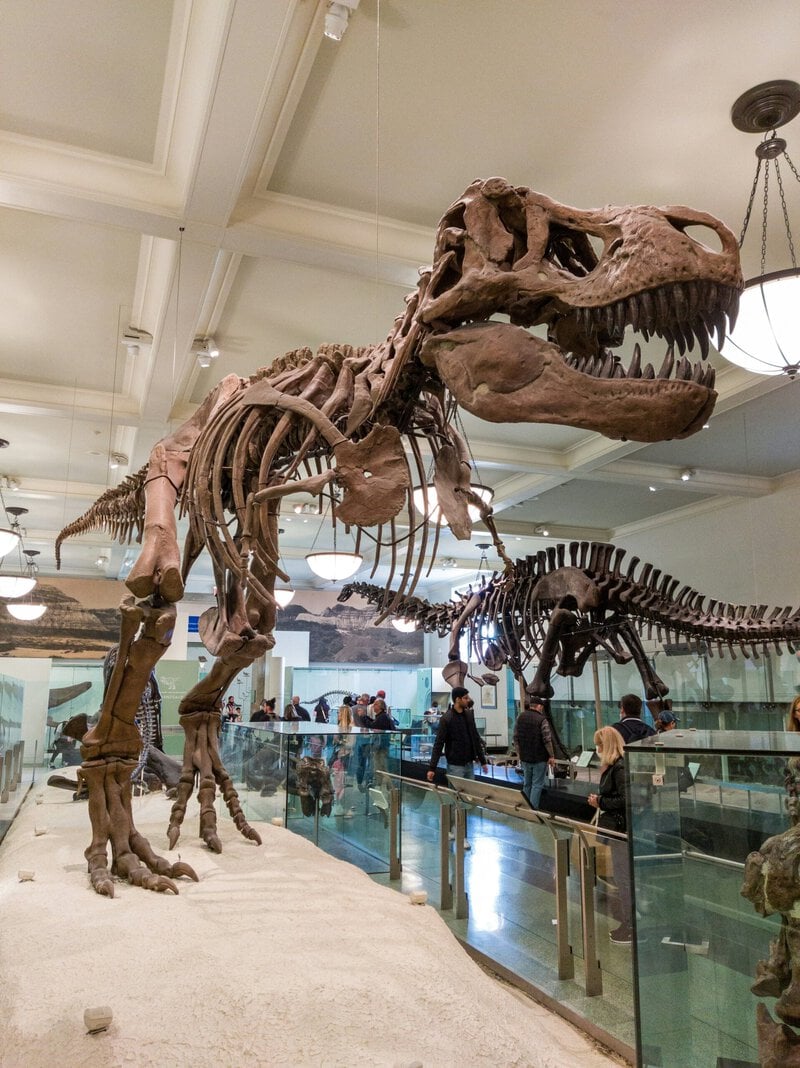 Dinosaur Predator Science Is Scarier Than Kids’ Movies Admit