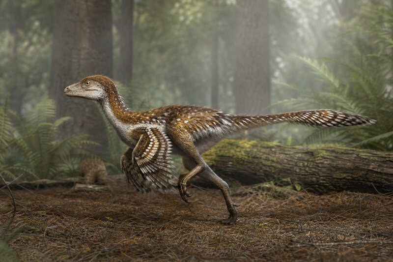 A T. rex Sprint Would Have Shattered Its Own Legs, Science Shows