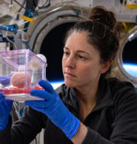 Space-Grown Glioblastoma Organoids Behave Differently — and Why It Matters