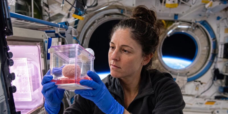 Space-Grown Glioblastoma Organoids Behave Differently — and Why It Matters