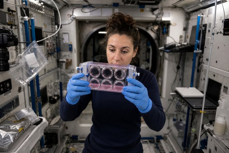 Space-Grown Glioblastoma Organoids Behave Differently — and Why It Matters